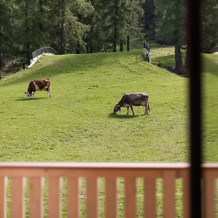 Laerchenhof Hotel Solda